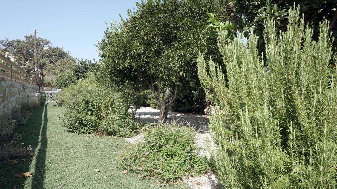 Studio Panagiota - Oasis Holiday Houses Kokkinos Pirgos Exterior foto